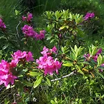 Simonbauerhof בית חווה באד קליניקירשהיים