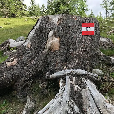 Simonbauerhof Farma *