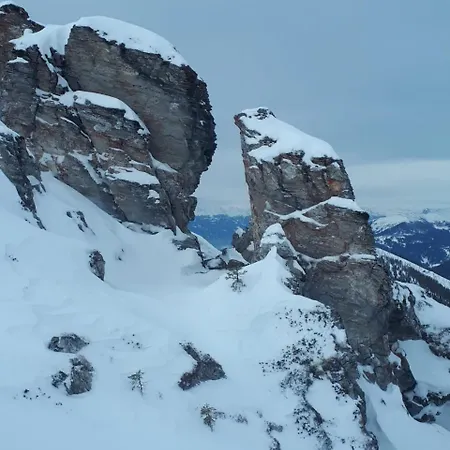 Simonbauerhof Farma *