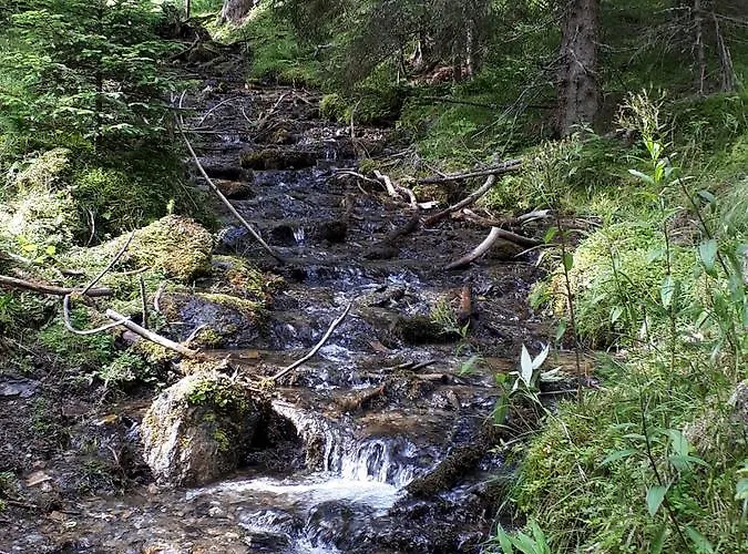 Alloggio per agriturismo Simonbauerhof *