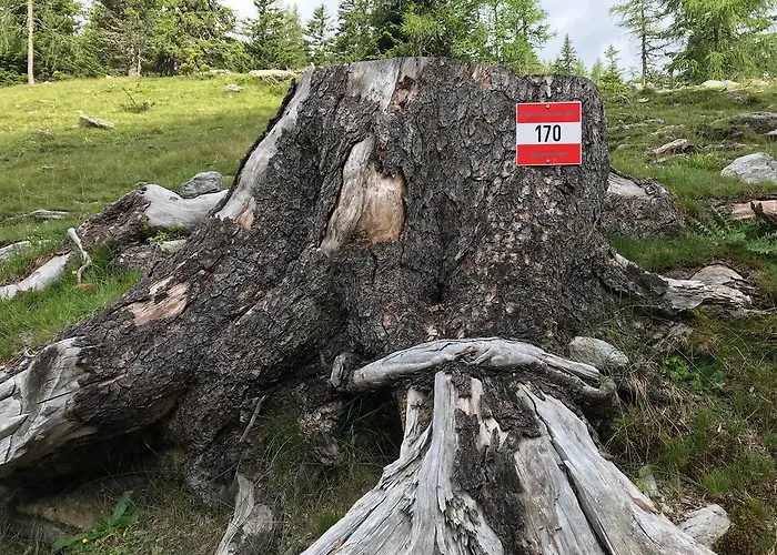 Simonbauerhof Smještaj na farmi *