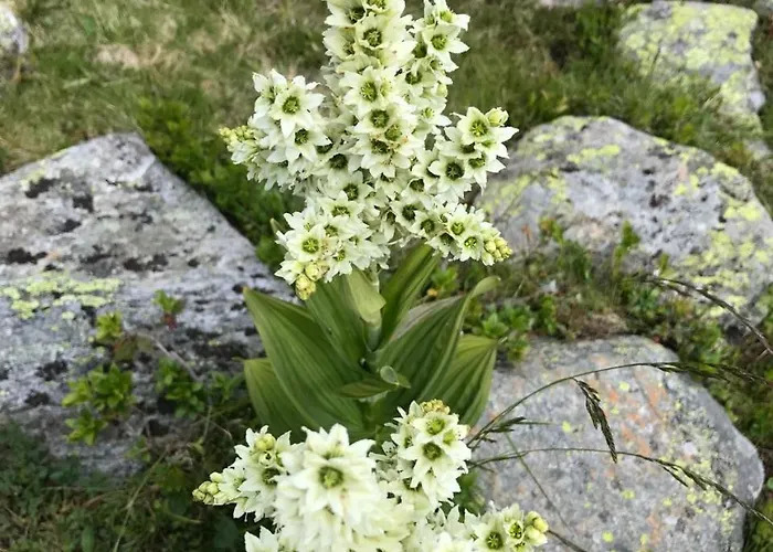 Simonbauerhof Smještaj na farmi *