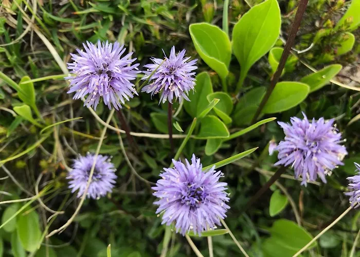 Smještaj na farmi Simonbauerhof Bad Kleinkirchheim